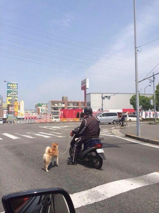 鬼畜